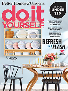 Magazine Store - Do It Yourself 2021 Back Issues