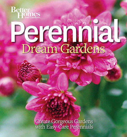 Cover of Perennial Dream Gardens