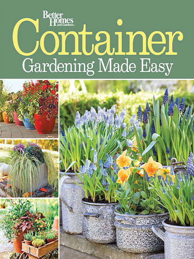 Cover of Container Gardening Made Easy