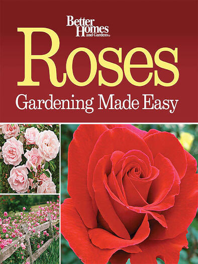 Cover of Roses Gardening Made Easy