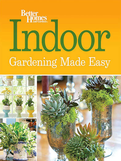 Cover of Indoor Gardening Made Easy