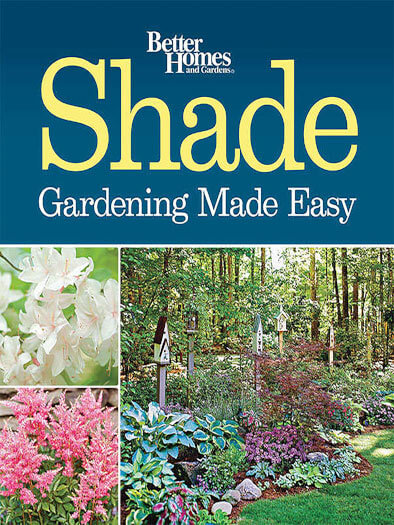 Shade Gardening Made Easy
