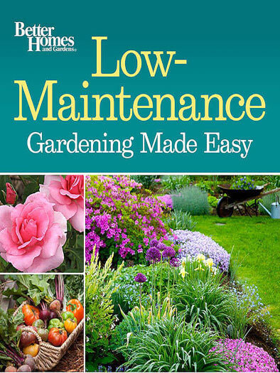 Cover of Low-Maintenance Gardening Made Easy