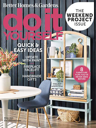 Do It Yourself magazine cover