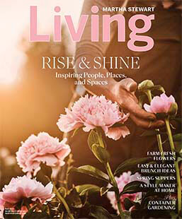 Latest issue of Martha Stewart Living 