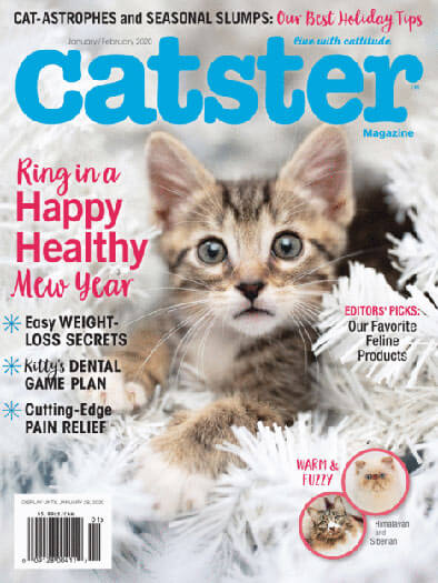 Latest issue of Catster Magazine