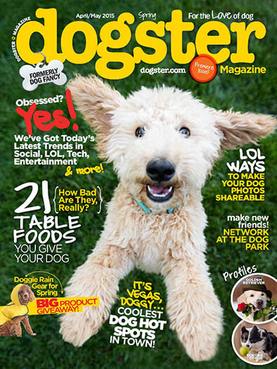 Latest issue of Dogster