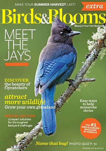 Latest issue of Birds & Blooms Extra