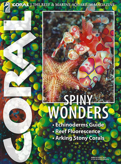 Coral Magazine Subscription