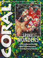 Coral Magazine 1 of 5