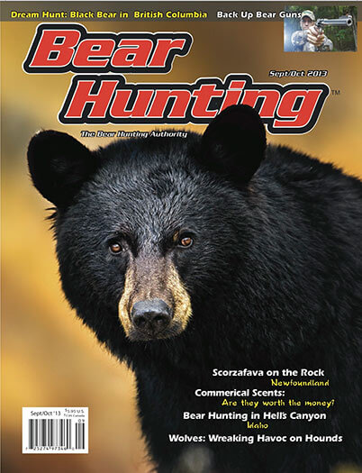 Subscribe to Bear Hunting