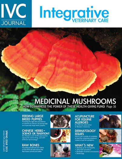 Latest issue of Integrative Veterinary Care Journal
