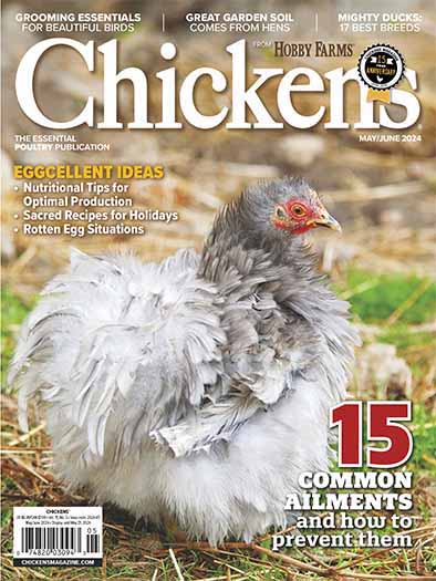 Chickens Magazine Subscription