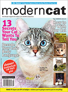 Latest issue of Modern Cat 