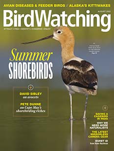 Latest issue of Birdwatching