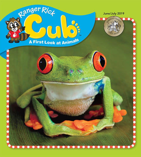 Ranger Rick Cub Magazine Subscription, 6 Issues, Educational Elementary Magazine Subscriptions magazines.com
