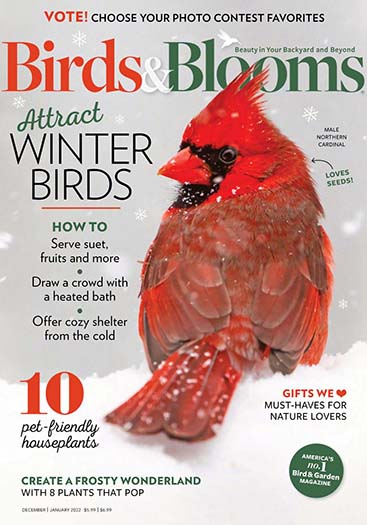 Latest issue of Birds and Blooms