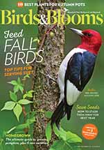 Birds & Blooms Magazine Subscription | Latest Birds & Blooms Issues