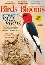 Birds & Blooms Magazine Subscription | Latest Birds & Blooms Issues