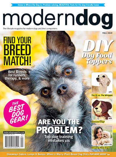 Latest issue of Modern Dog Magazine
