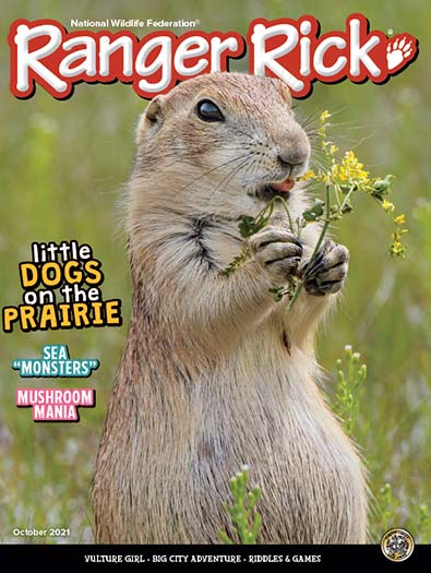 Ranger Rick Magazine Subscription, 10 Issues, Educational Elementary Magazine Subscriptions magazines.com