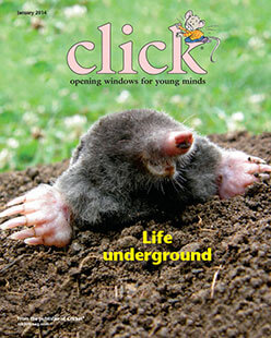 Latest issue of Click Magazine