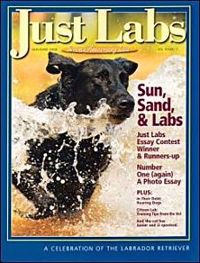 Latest issue of Just Labs 