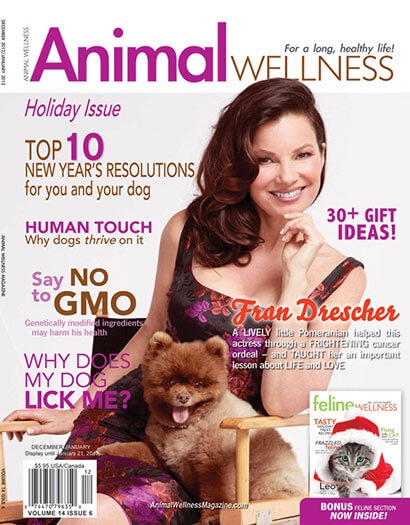 Latest issue of Animal Wellness Magazine