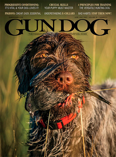 Gun Dog Magazine Subscription