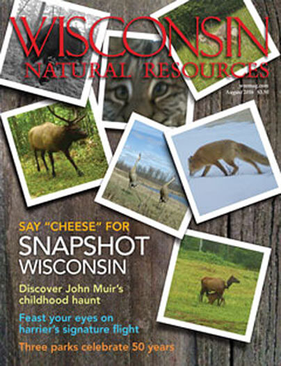 Latest issue of Wisconsin Natural Resources Magazine