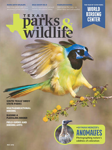 Latest issue of Texas Parks & Wildlife Magazine