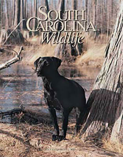 South Carolina Wildlife Magazine Subscription Discount | Magazines.com