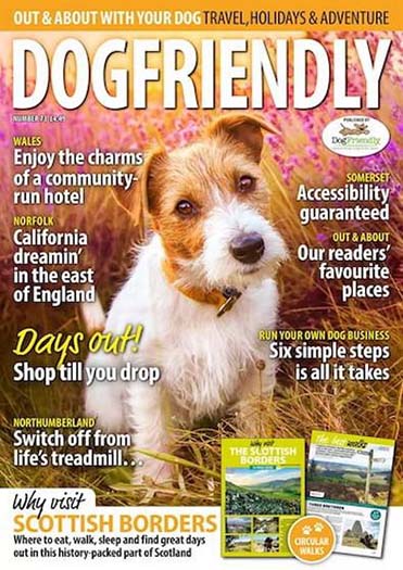 Dogfriendly Out About Magazine Subscription