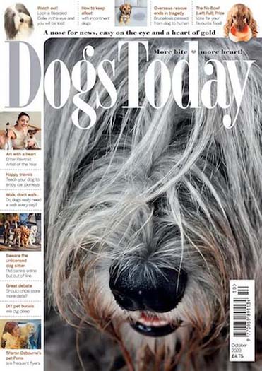 Best Price for Dogs Today Magazine Subscription