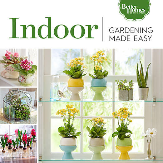 Cover of Gardening Made Easy: Indoor digital PDF