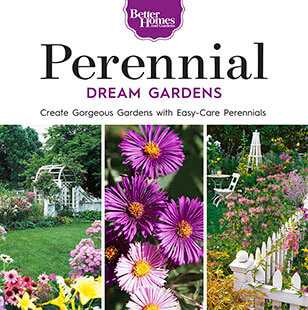 Cover of Perennial Dream Gardens digital PDF