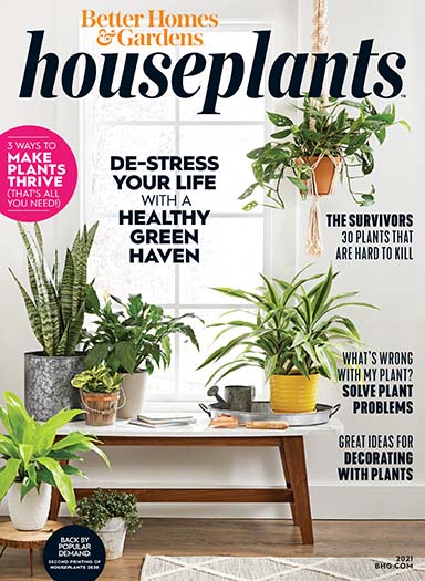 Cover of Better Homes & Gardens Houseplants