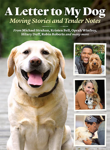 A Letter to My Dog Magazine | Animal And Pet Magazines
