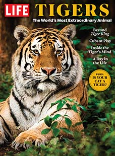 Wildlife Magazines | Nature Magazine Subscriptions Discounts