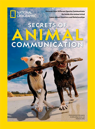 Cover of National Geographic: Secrets of Animal Communication