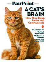PawPrint: A Cat's Brain 1 of 5