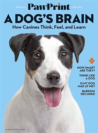 Latest Issue of PawPrint: A Dog's Brain