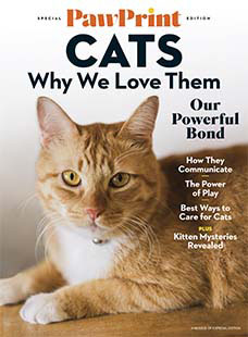 Latest issue of PawPrint: Why We Love Cats