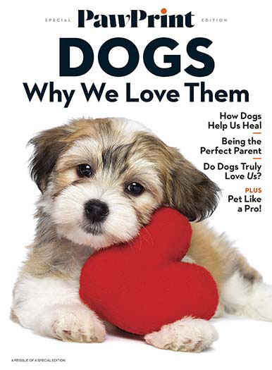 Latest Issue of PawPrint: Why We Love Dogs