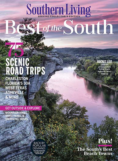 Cover of Southern Living Best of the South