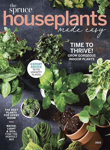Latest issue of The Spruce: Houseplants Made Easy