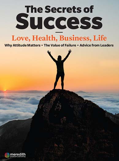 Cover of The Secrets of Success